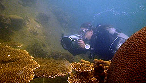 underwater videographer filming