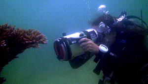 anya filming - pro video course