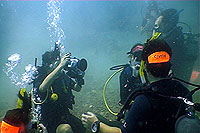 underwater video internship trainee
