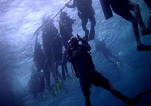 underwater videographer film OW students
