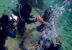 internship graduate film open water students