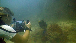 underwater video try dive