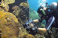 underwater video trainee Kati