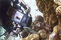 video student - thailand