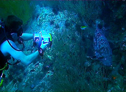 underwater videographer filming at chumphon
