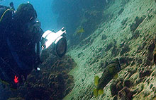 underwater video students koh tao
