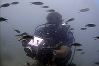 underwater video student