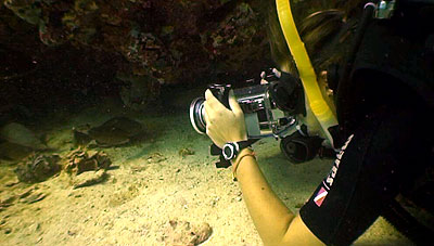 thailand underwater video trainee