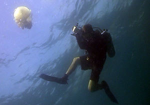 videographer filming on koh tao