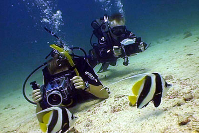 underwater videography students - koh tao
