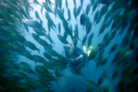 underwater videography student