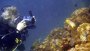 underwater video student iain filmg in thailand
