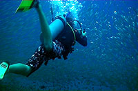 underwater videography course
