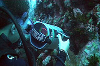 james filming a shrimp