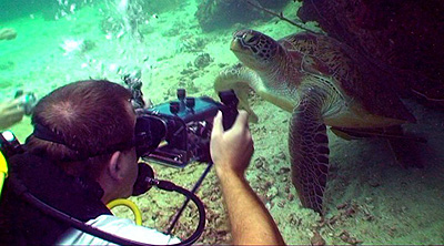 videographer filming koh tao