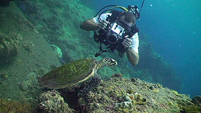 jonas-filming-turtle-koh-tao