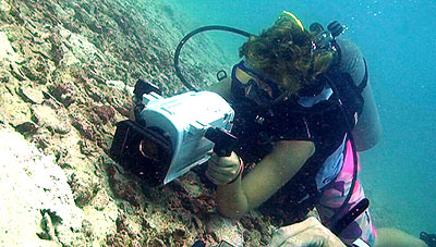 kati filming a seahorse - thailand