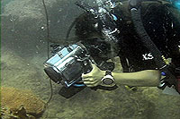 video trainee