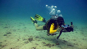 training dives on koh tao