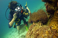 videography student dive one