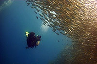 underwater videography student