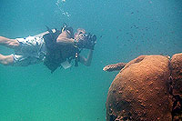underwater video tainee
