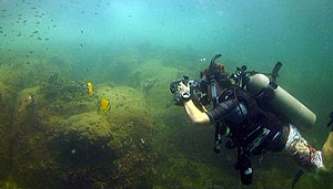 video course - koh tao