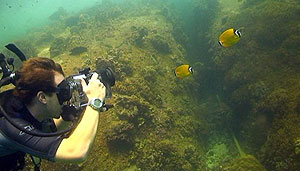 video training - thailand