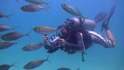 video trainee - koh tao