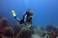 nathan cook surveying