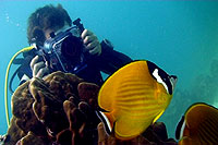 underwater video trainee steve dobie