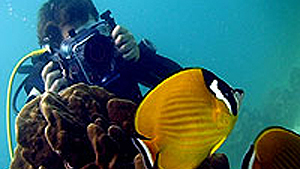 underwater videographer steve