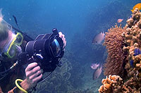 underwater video trainee