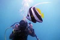 marine videography student thailand