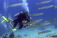 marine video students