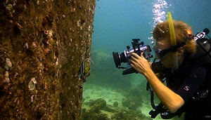 underwater video trainee tobias - koh tao