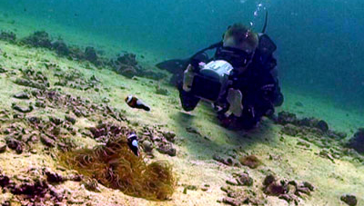 underwater videography student - thailand