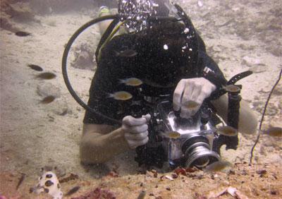 filming nudibrach