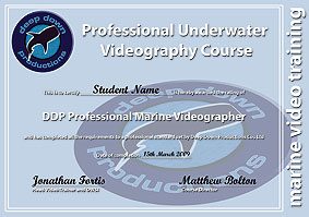 underwater professional certification