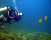 underwater video student